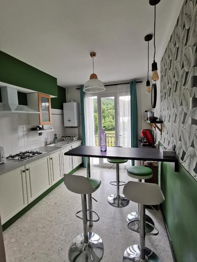 Apartament Au Pays D'Olmes Lavelanet Zewnętrze zdjęcie