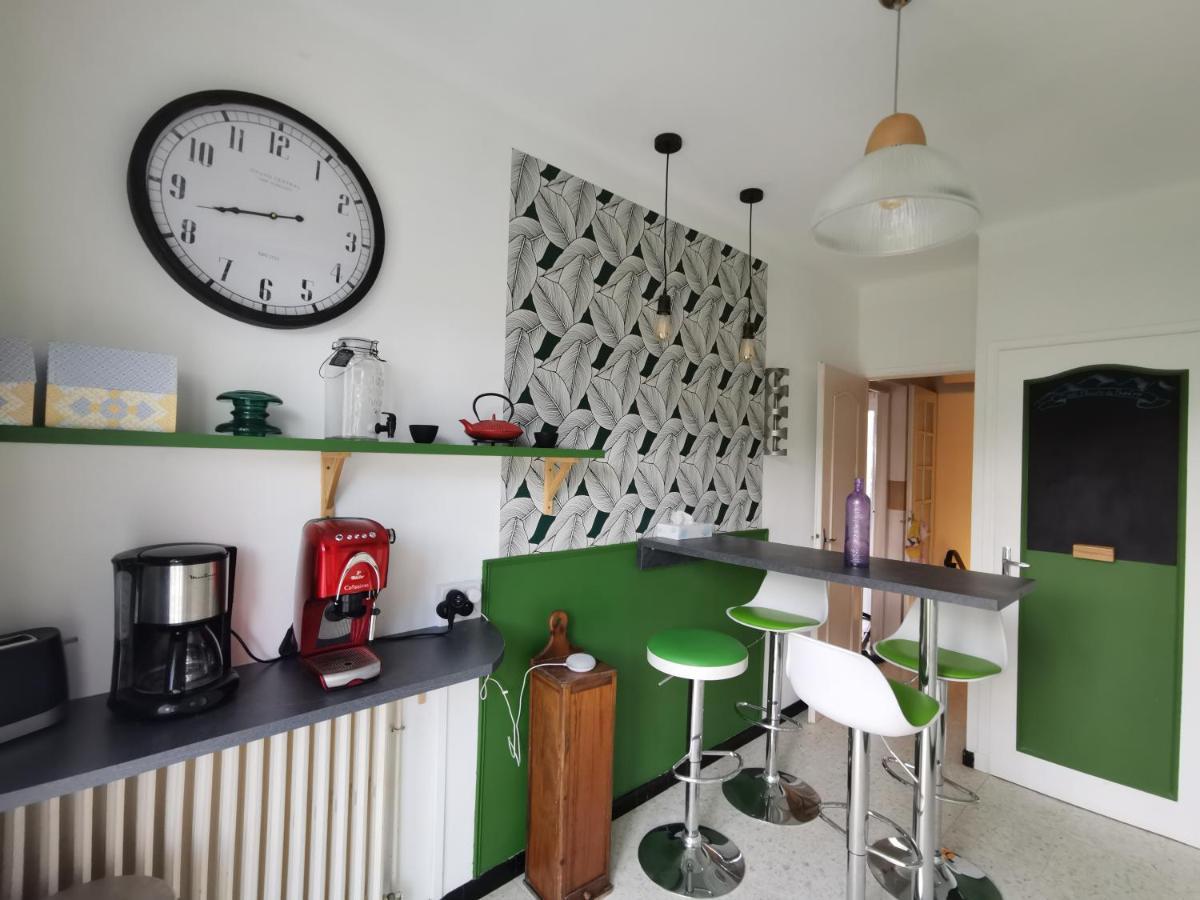 Apartament Au Pays D'Olmes Lavelanet Zewnętrze zdjęcie
