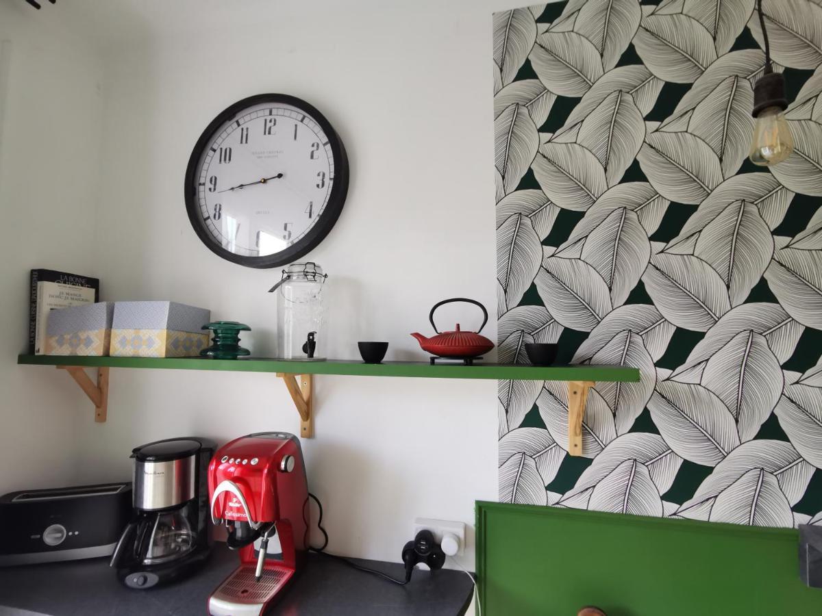 Apartament Au Pays D'Olmes Lavelanet Zewnętrze zdjęcie