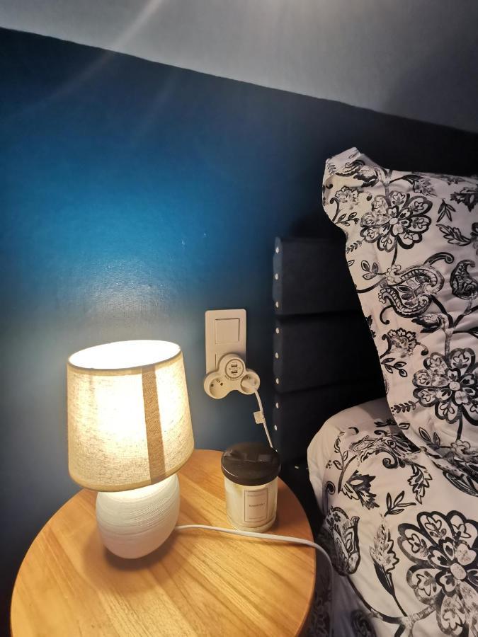 Apartament Au Pays D'Olmes Lavelanet Zewnętrze zdjęcie